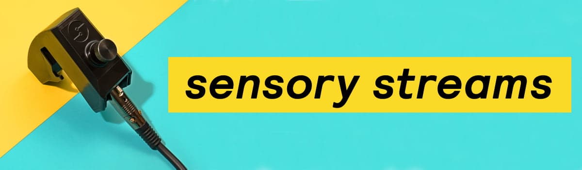 A banner image for Sensory Streams