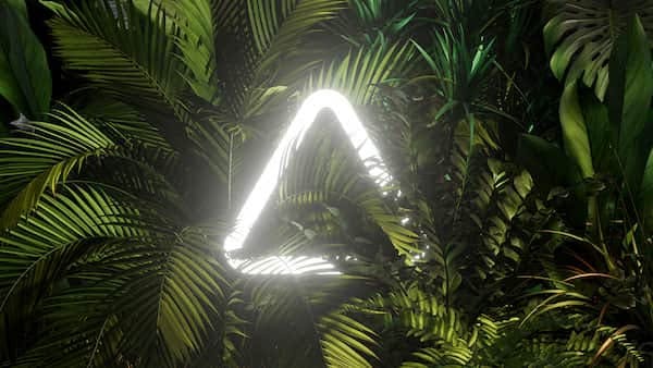 The pack cover for Chord Sequences, a picture of a dense forest with a neon triangle nestled in the foliage