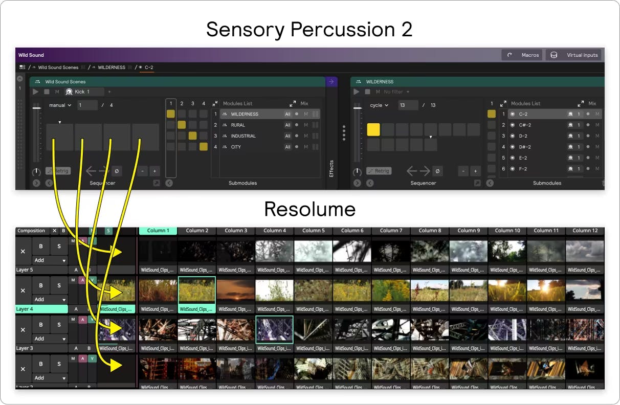 A screenshot showing the Sensory Percussion and Resolume settings used for Wild Sound.