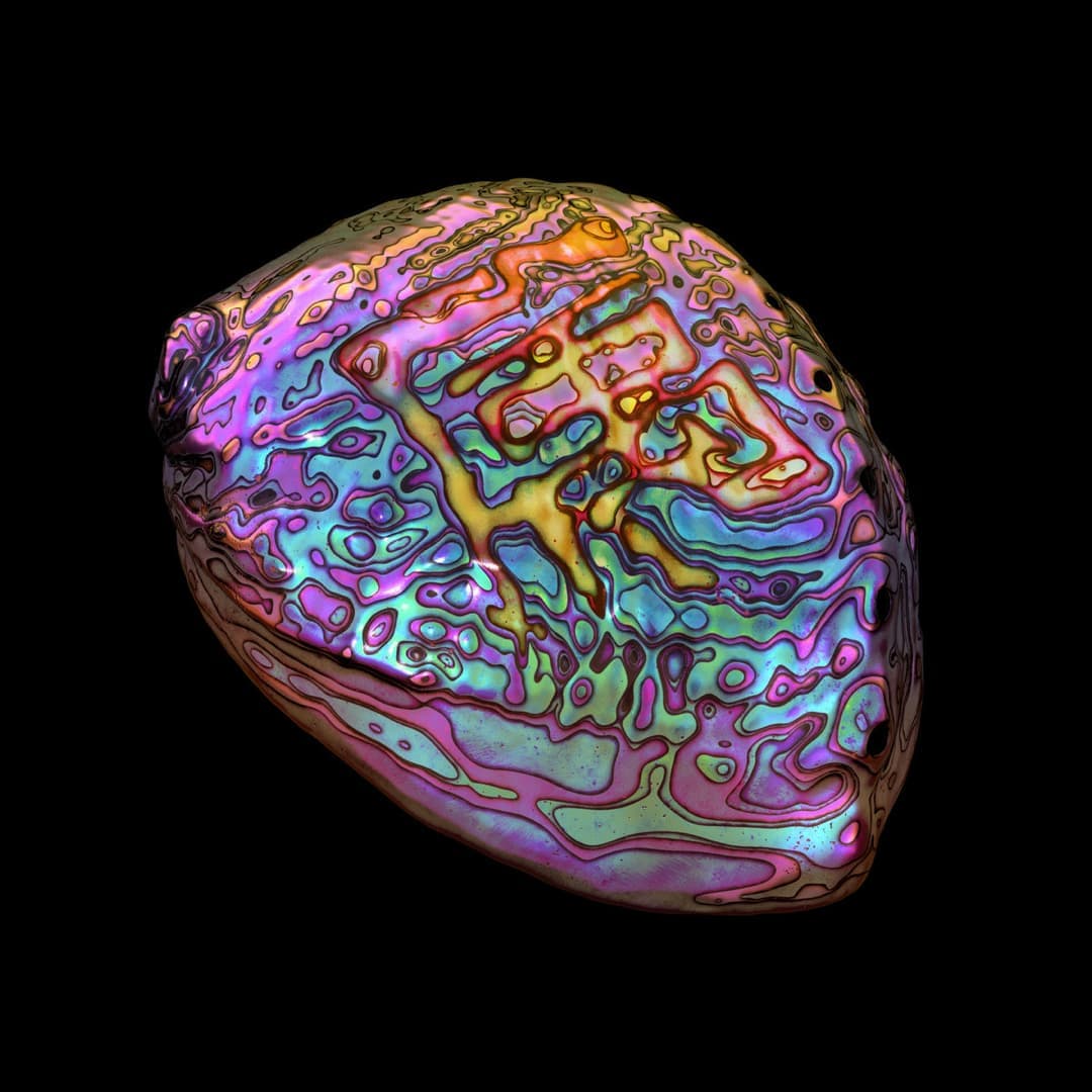 The album cover for 属 Belonging