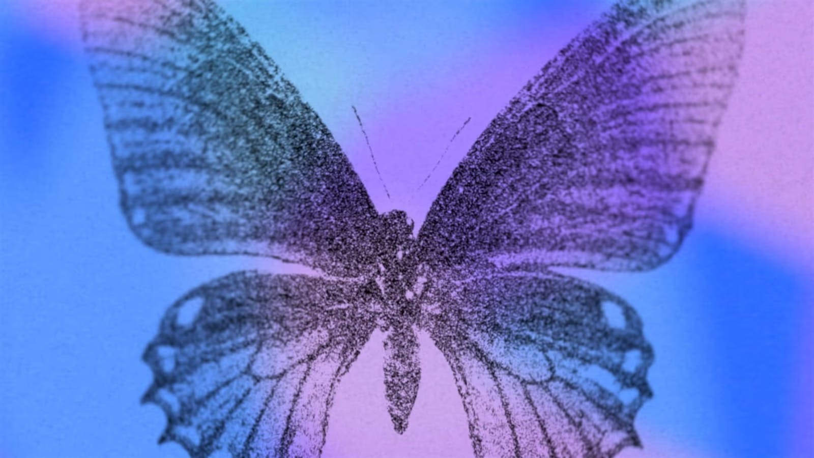 The Xanthopleura cover image: a stippled illustration of a moth on a blue and purple bakcground